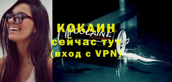 бошки Бородино