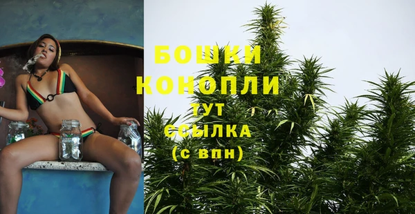 бошки Бородино