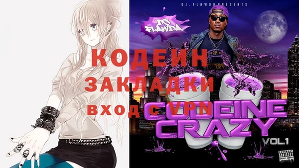 сатива Бронницы