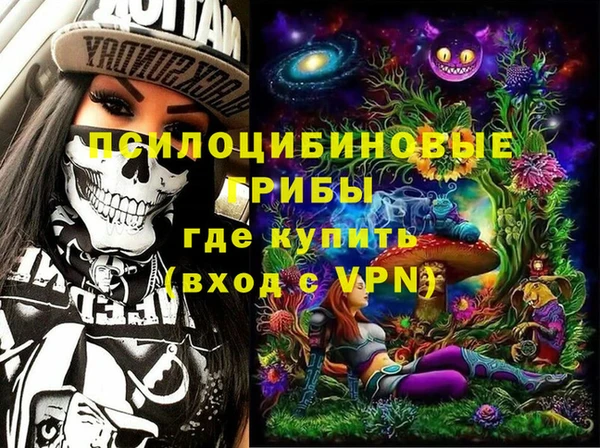 сатива Бронницы