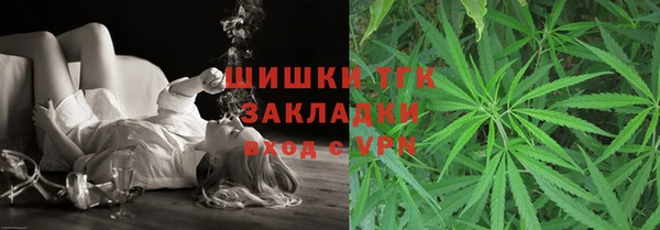 бошки Бородино