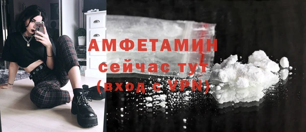 сатива Бронницы