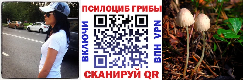 где продают наркотики  Королёв  Псилоцибиновые грибы мицелий 