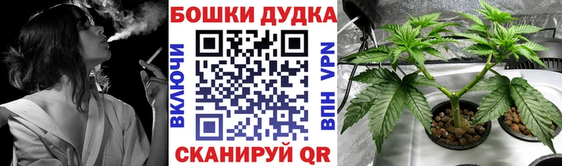 Шишки марихуана план  Королёв 